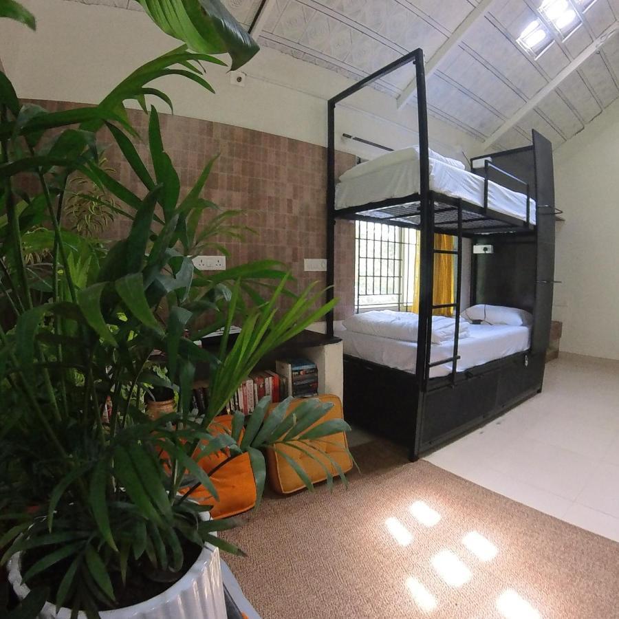 Benomadic Eco Hostel, Madikeri, Coorg Suntikoppa Екстериор снимка