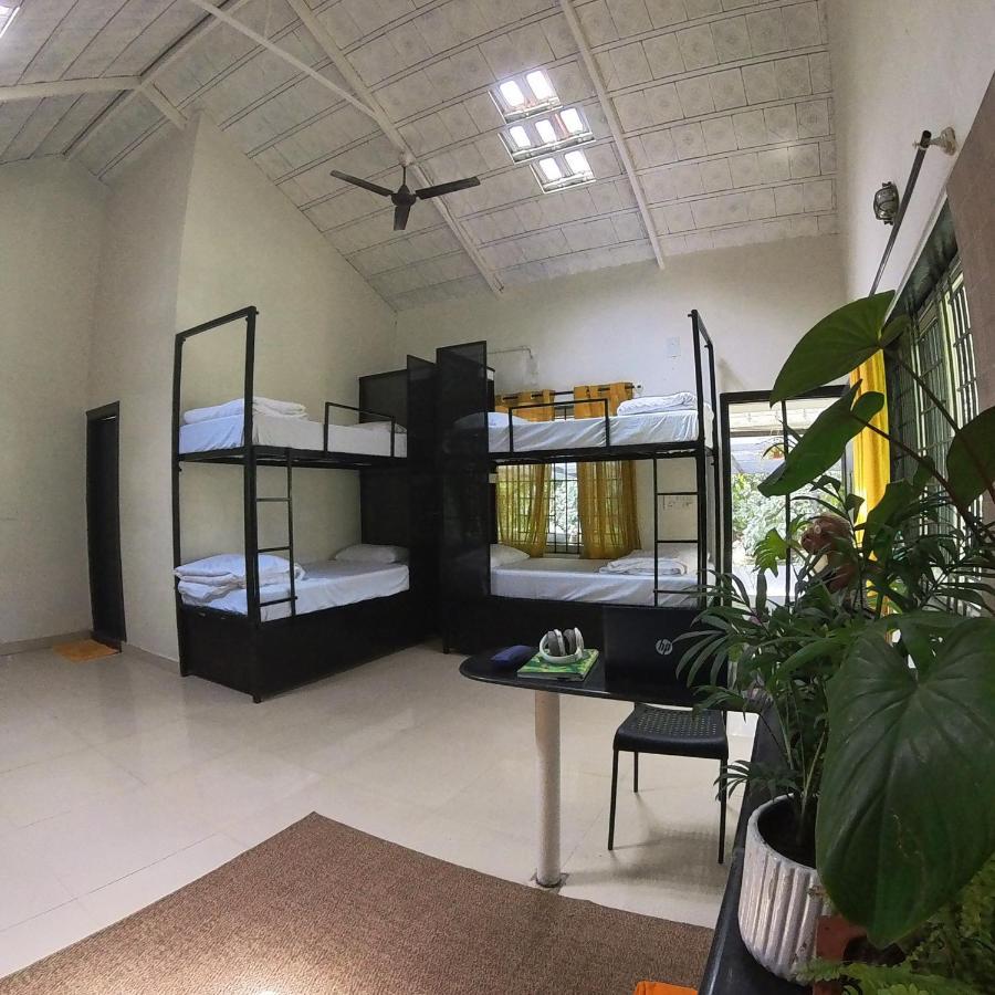 Benomadic Eco Hostel, Madikeri, Coorg Suntikoppa Екстериор снимка