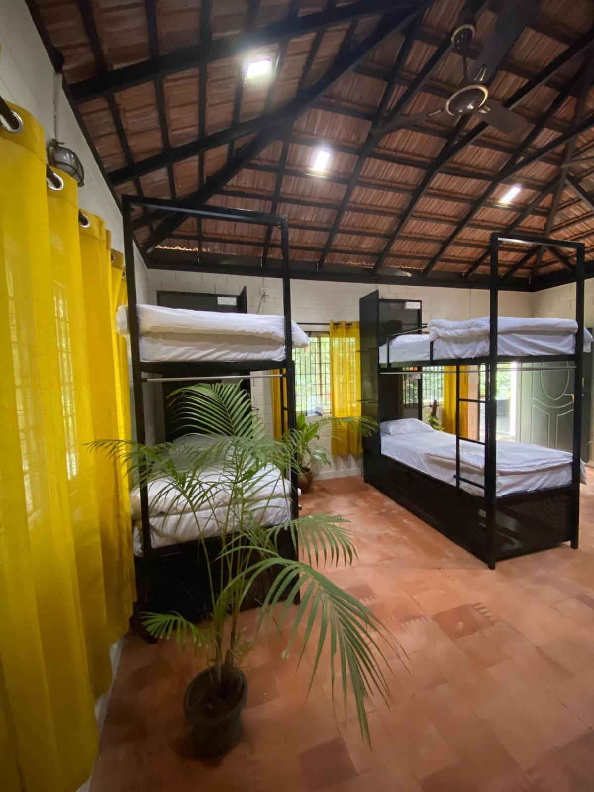 Benomadic Eco Hostel, Madikeri, Coorg Suntikoppa Екстериор снимка