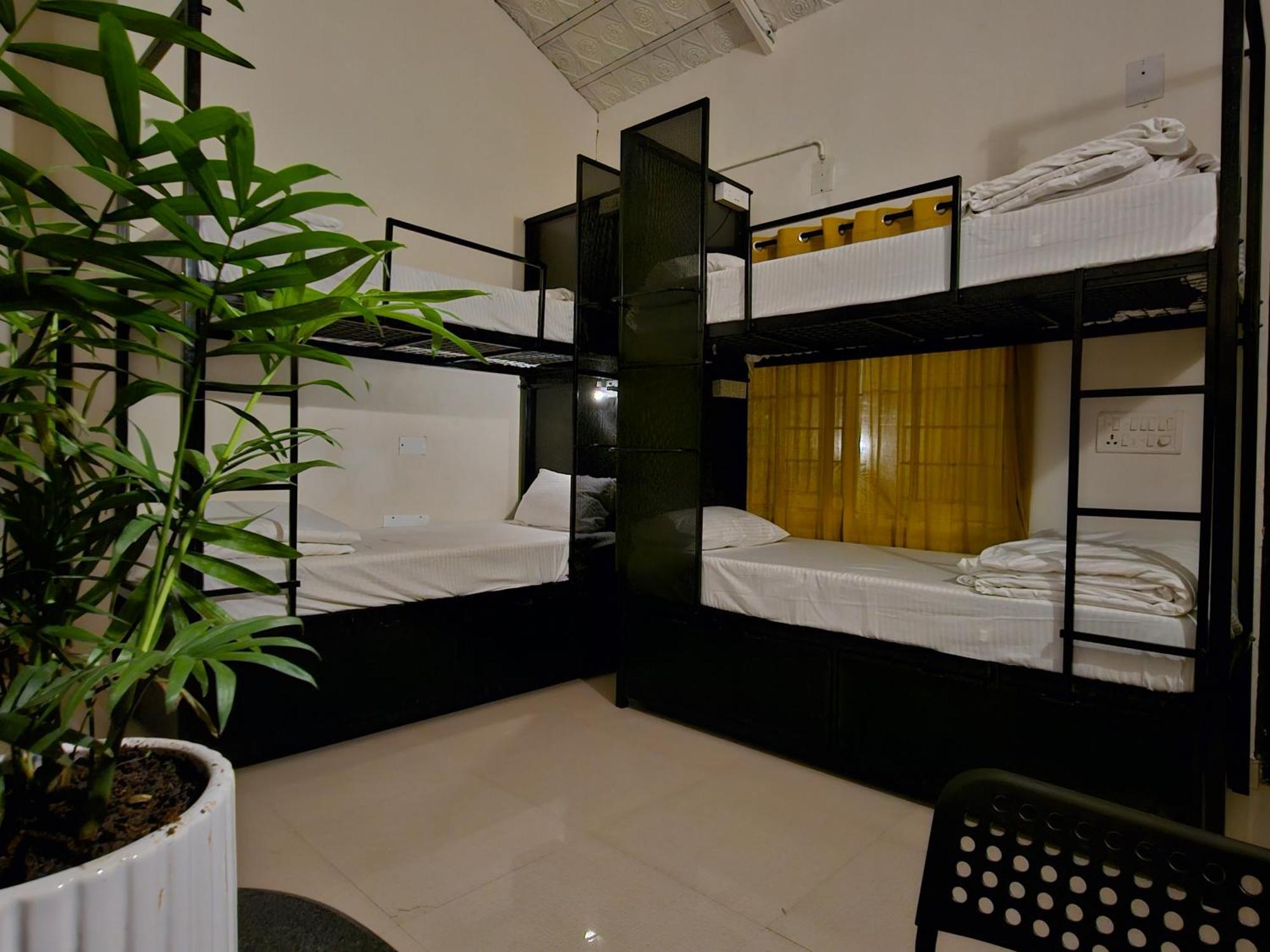 Benomadic Eco Hostel, Madikeri, Coorg Suntikoppa Екстериор снимка