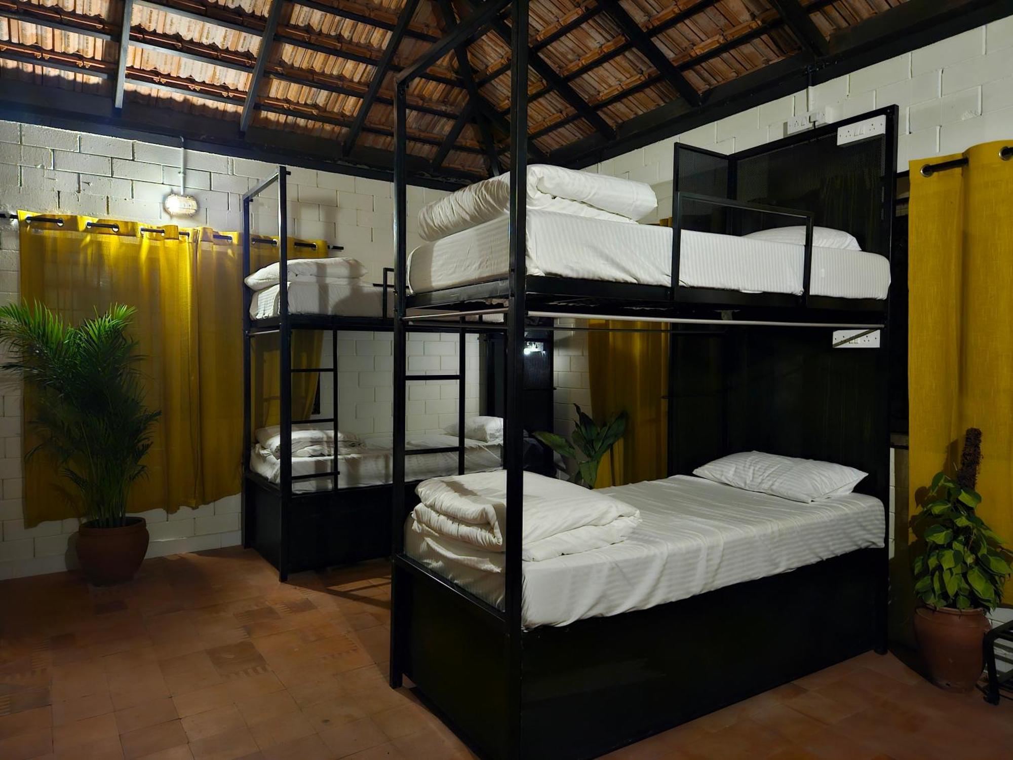 Benomadic Eco Hostel, Madikeri, Coorg Suntikoppa Екстериор снимка