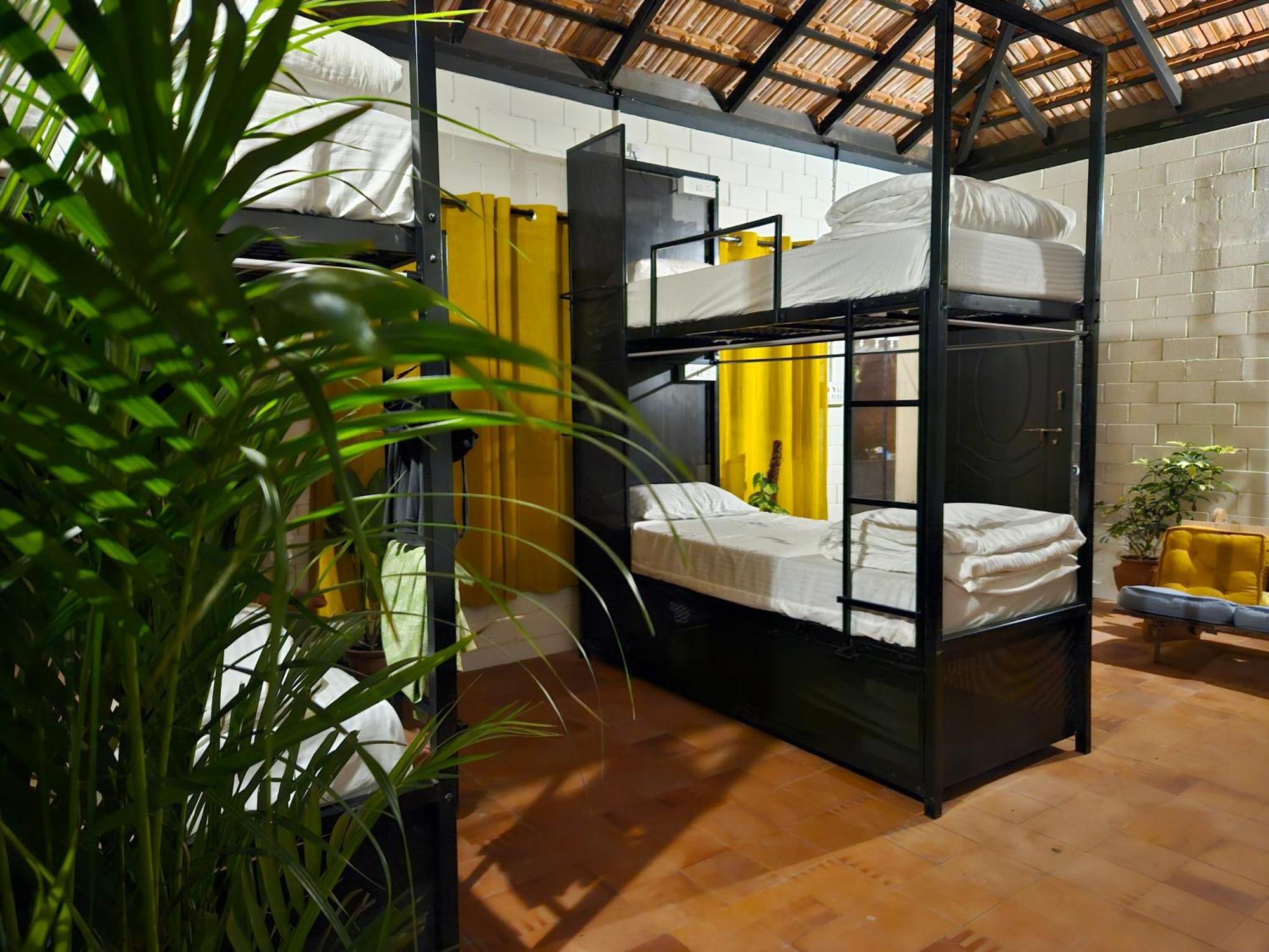 Benomadic Eco Hostel, Madikeri, Coorg Suntikoppa Екстериор снимка